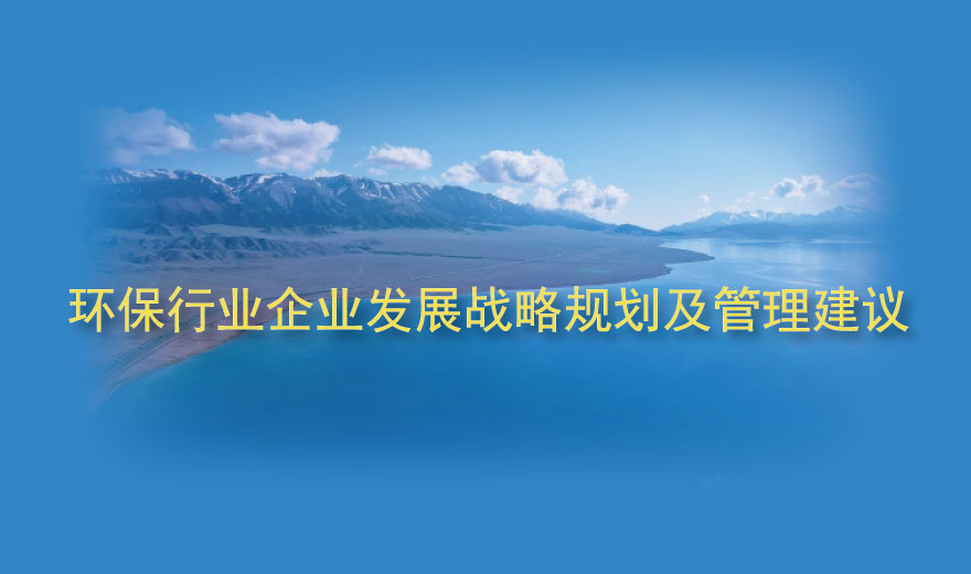 環保行業企業發展戰略規劃及管理建議