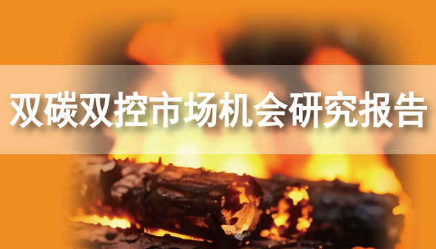 GEP Research雙碳雙控市場機會研究報告（2024年）